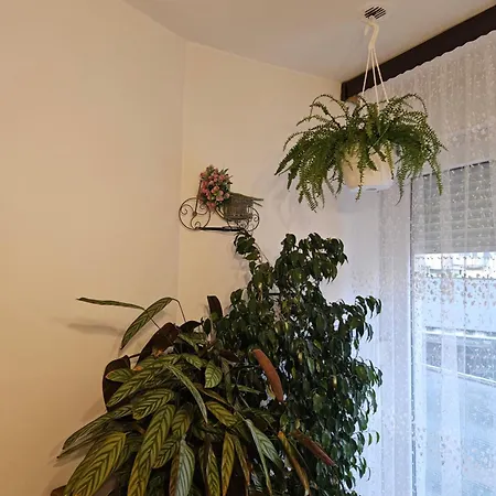 Apartment Noa *